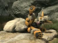 Furry fox uses his tails to masturbate his butthole animal xxx